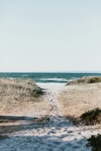 marten-bjork-iXed2ZaTobo-unsplash